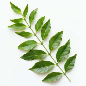 Curry Leaves