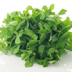 Fenugreek Leaves
