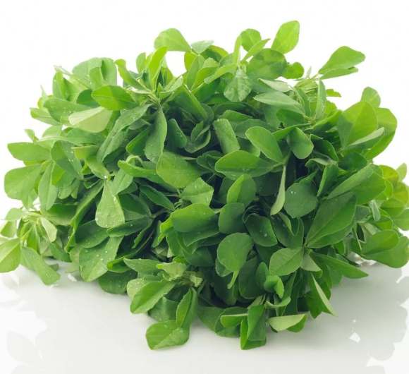 Fenugreek Leaves