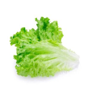 Lettuce