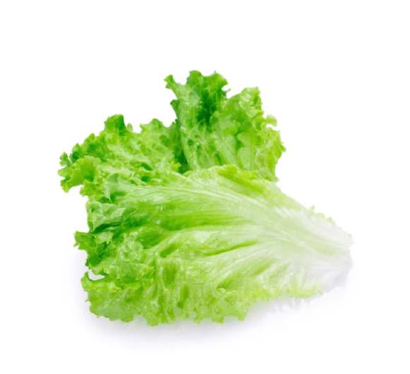 Lettuce