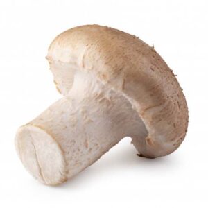 Mushrooms