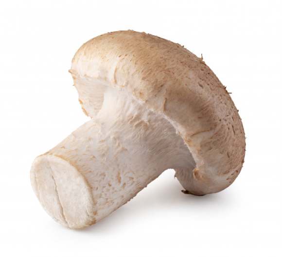 Mushrooms