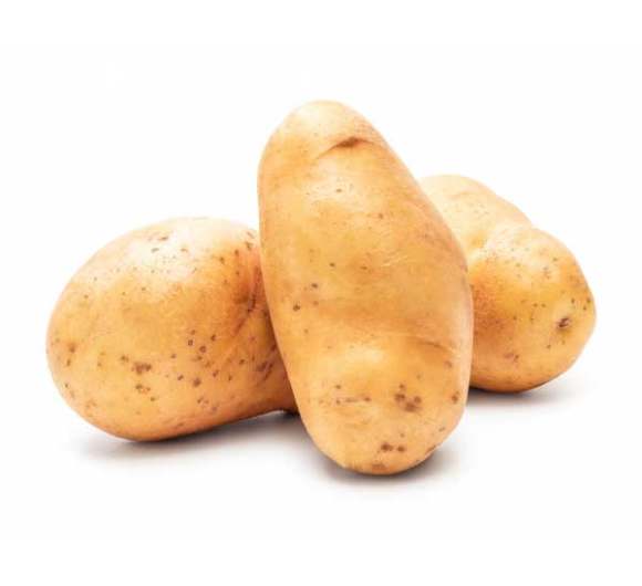 Potato