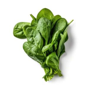 Spinach Leaves