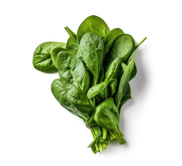 Spinach Leaves